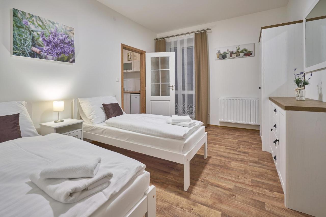 Pension Varta Janské Lázně Extérieur photo